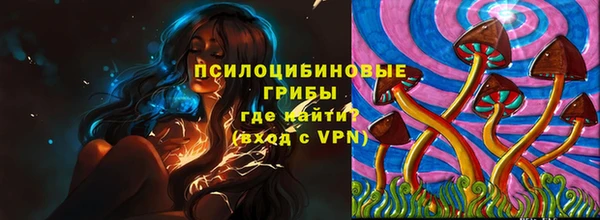 прущая мука Кулебаки