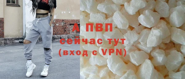 ПСИЛОЦИБИНОВЫЕ ГРИБЫ Липки