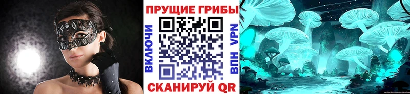 Галлюциногенные грибы Cubensis  что такое   Мелеуз 