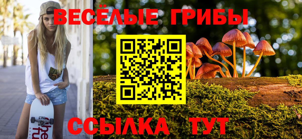 Галлюциногенные грибы прущие грибы Мелеуз